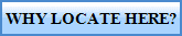 WHY LOCATE HERE?